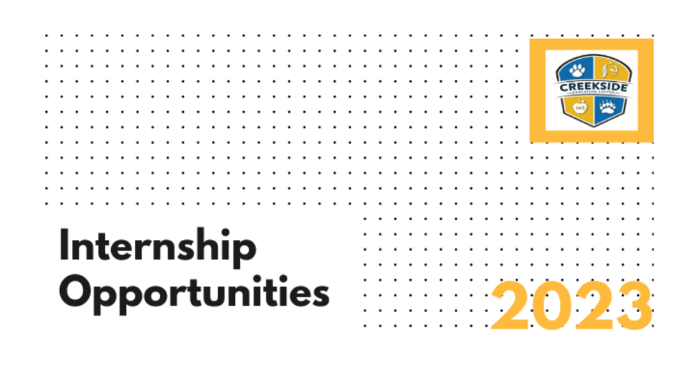 Internships