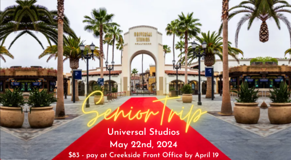 Senior Trip Flyer