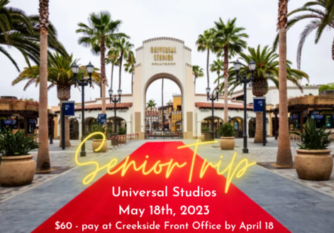 Senior Trip Flyer